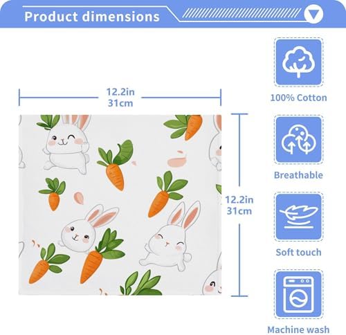 Perfect Xigua Washcloth Set for Home Travel
