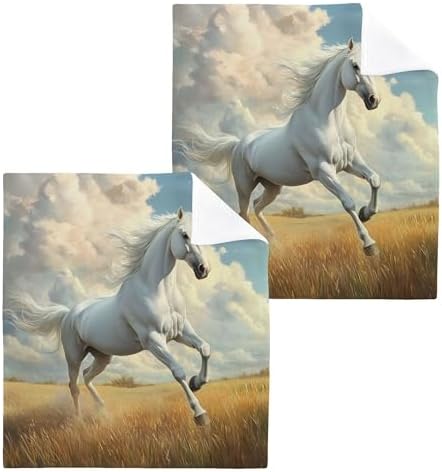 Xigua Horse Galloping Washcloth Set