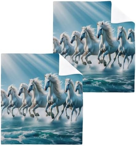 Luxury Washcloths Soft Absorbent Machine Washable 12x12 in Set of 2