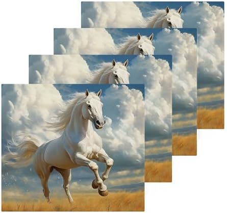 Horseback Riding Fast Drying Washcloths for Bathroom Spa and Kitchen