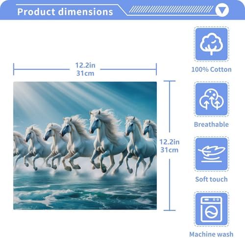 Luxury Washcloths Soft Absorbent Machine Washable 12x12 in Set of 2