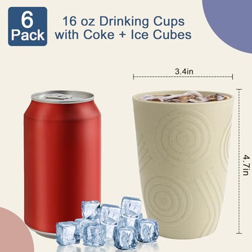 BUSOKIP Wheat Straw Cups 6 PCS Set 16 Oz Reusable