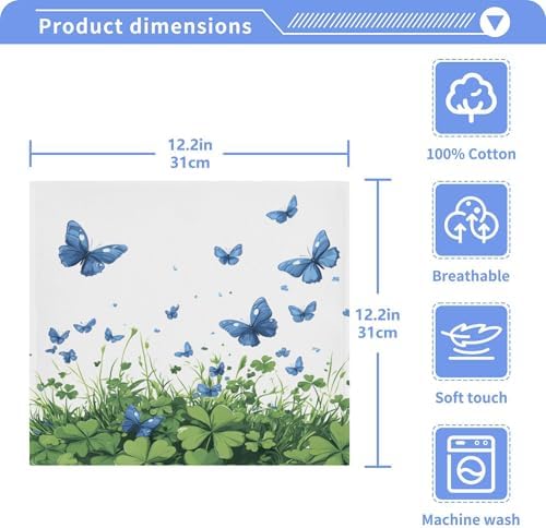 St Parikhs Day Butterfly Washcloth Set