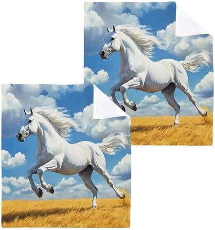 Xigua Horse Galloping Washcloths Set