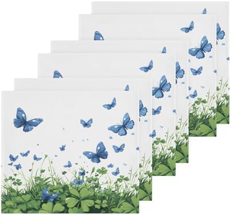 St Parikhs Day Butterfly Washcloth Set