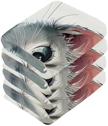 Say hello to our soft absorbent washcloths designed especially for felines