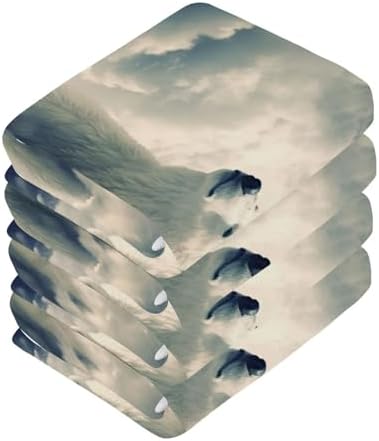 YettasbinPolar Bear Washcloth Set