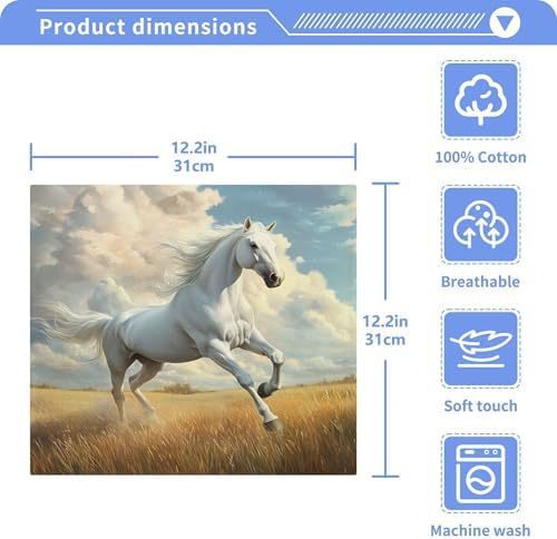 Xigua Horse Galloping Washcloth Set