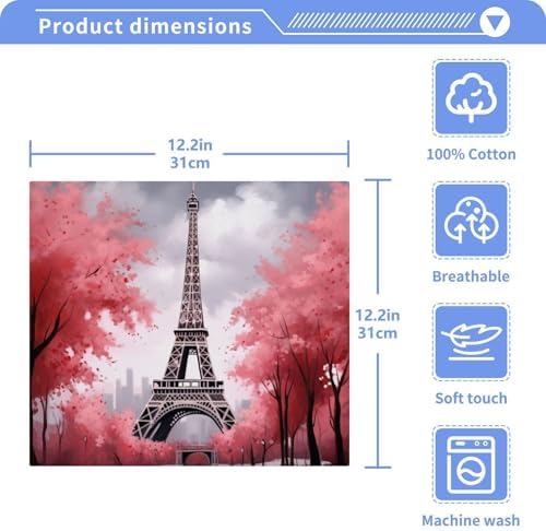 Eiffel Tower Washcloth Set Soft Absorbent for Baby Adults