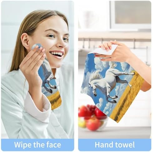 Xigua Horse Galloping Washcloths Set