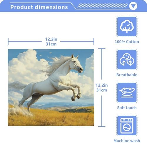 Xigua Horse Galloping Washcloth Set 1212 inch