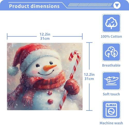 Xigua Cute Snowmen Washcloth Set Glowing-Fast Drying Towels for Hand Face