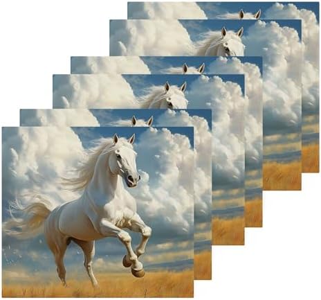 Horseback Riding Fast Drying Washcloths for Bathroom Spa and Kitchen