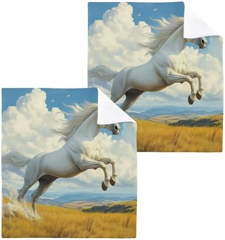 Xigua Horse Galloping Washcloth Set 1212 inch