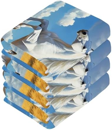 Xigua Horse Galloping Washcloths Set