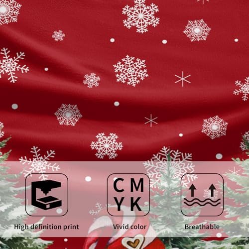 Red Christmas Gnome Hand Towel Set of 2 Winter Snowflake Towel 1