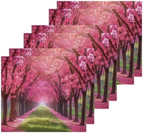 Cherry Blossoms Washcloths 2 Pack Soft Reusable Face Towels