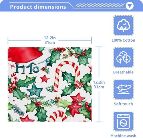 Xigua Watercolor Christmas Washcloths Set of 2