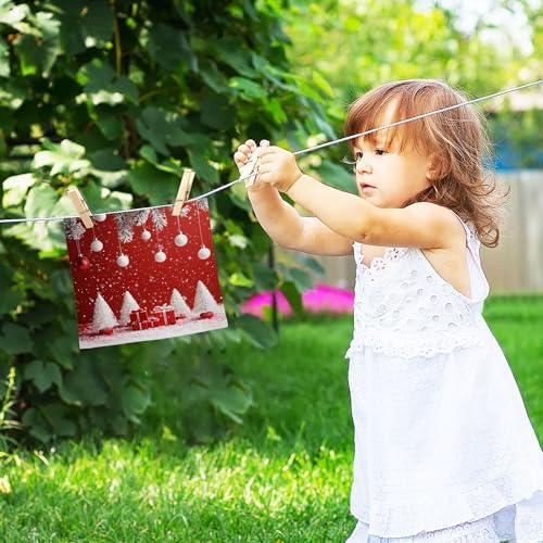 Xigua Christmas Washcloths Set of 2 12x12 Inch 1