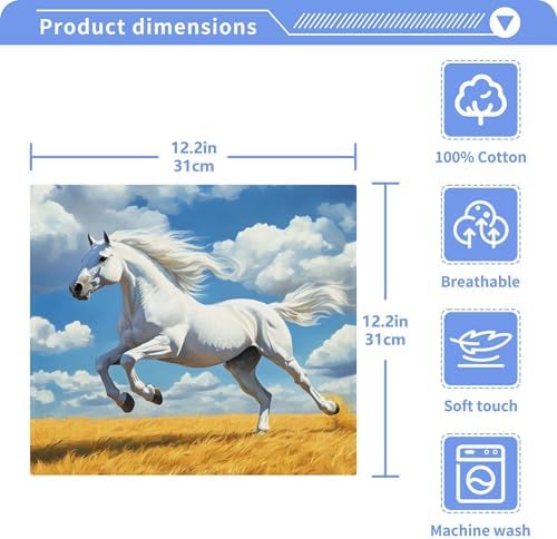 Xigua Horse Galloping Washcloths Set