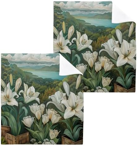 Xigua Washcloth Set forFast Drying