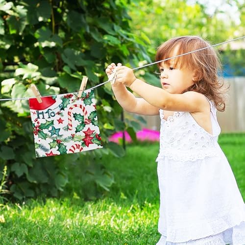 Xigua Watercolor Christmas Washcloths Set of 2