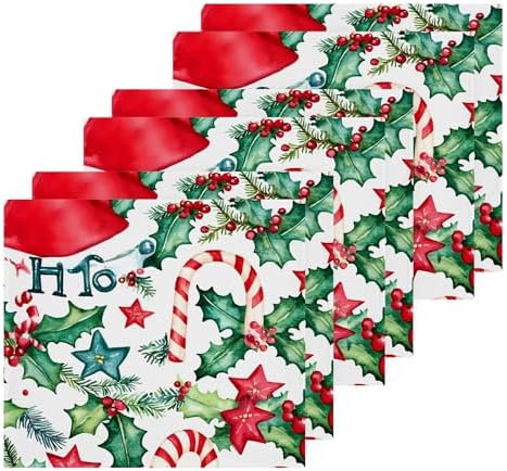 Xigua Watercolor Christmas Washcloths Set of 2