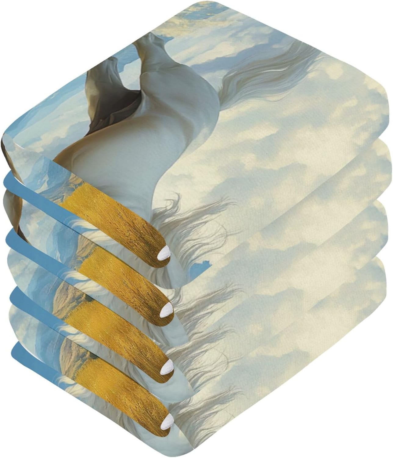 Xigua Horse Galloping Washcloth Set 1212 inch