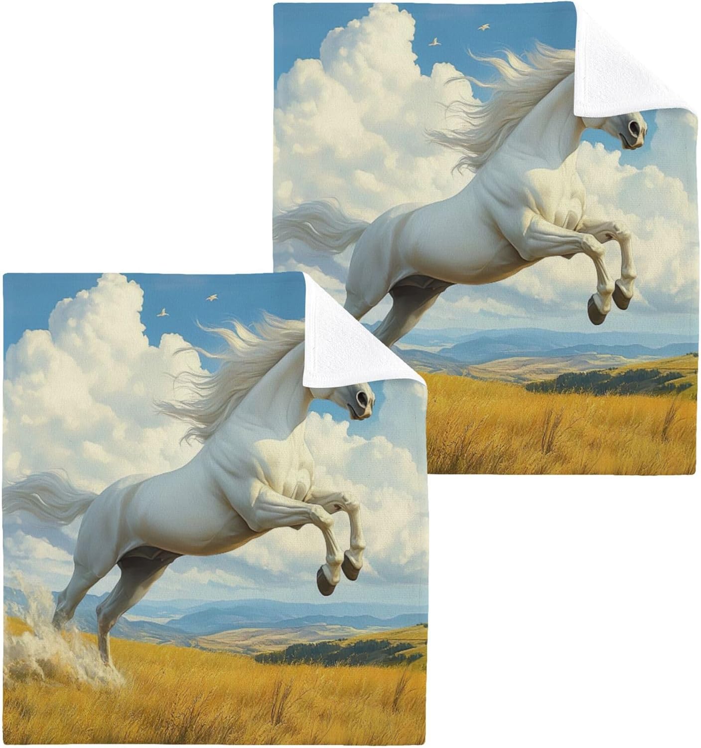 Xigua Horse Galloping Washcloth Set 1212 inch