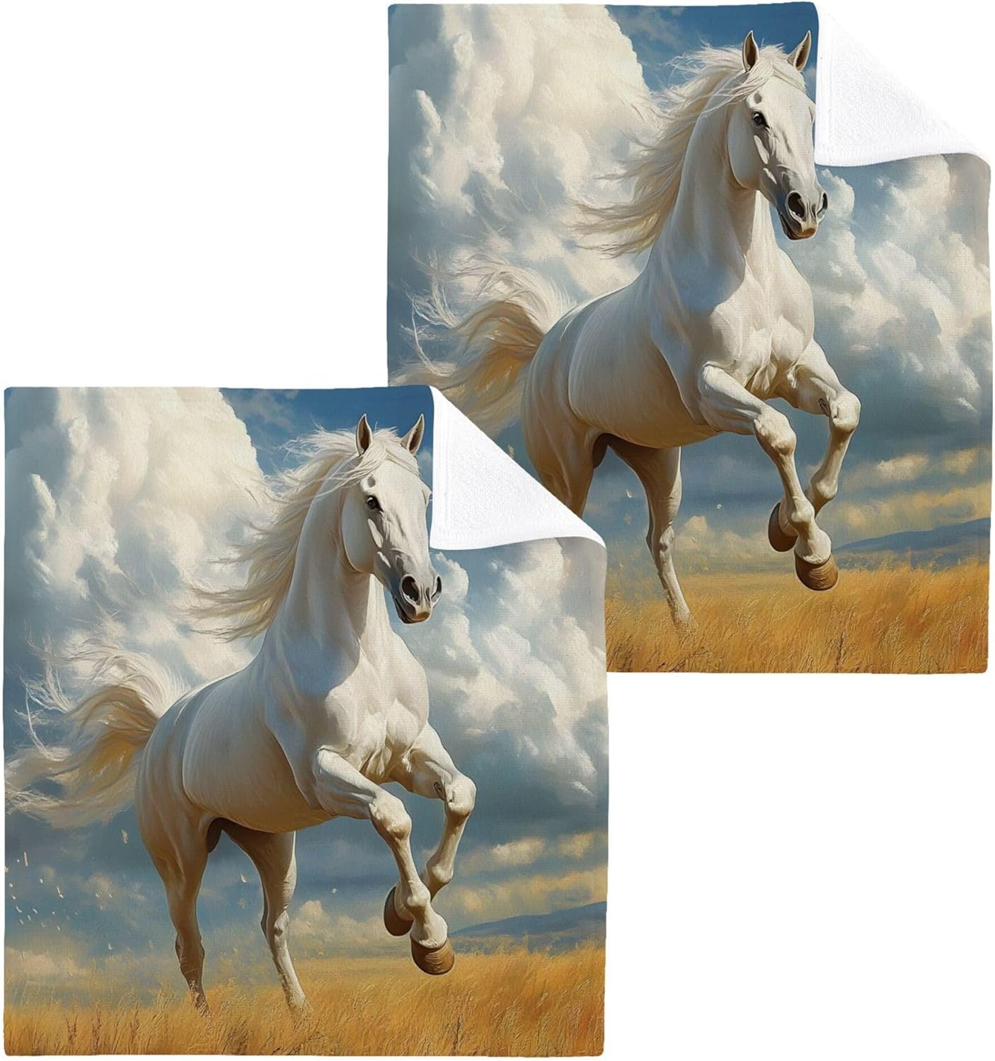 Horseback Riding Fast Drying Washcloths for Bathroom Spa and Kitchen
