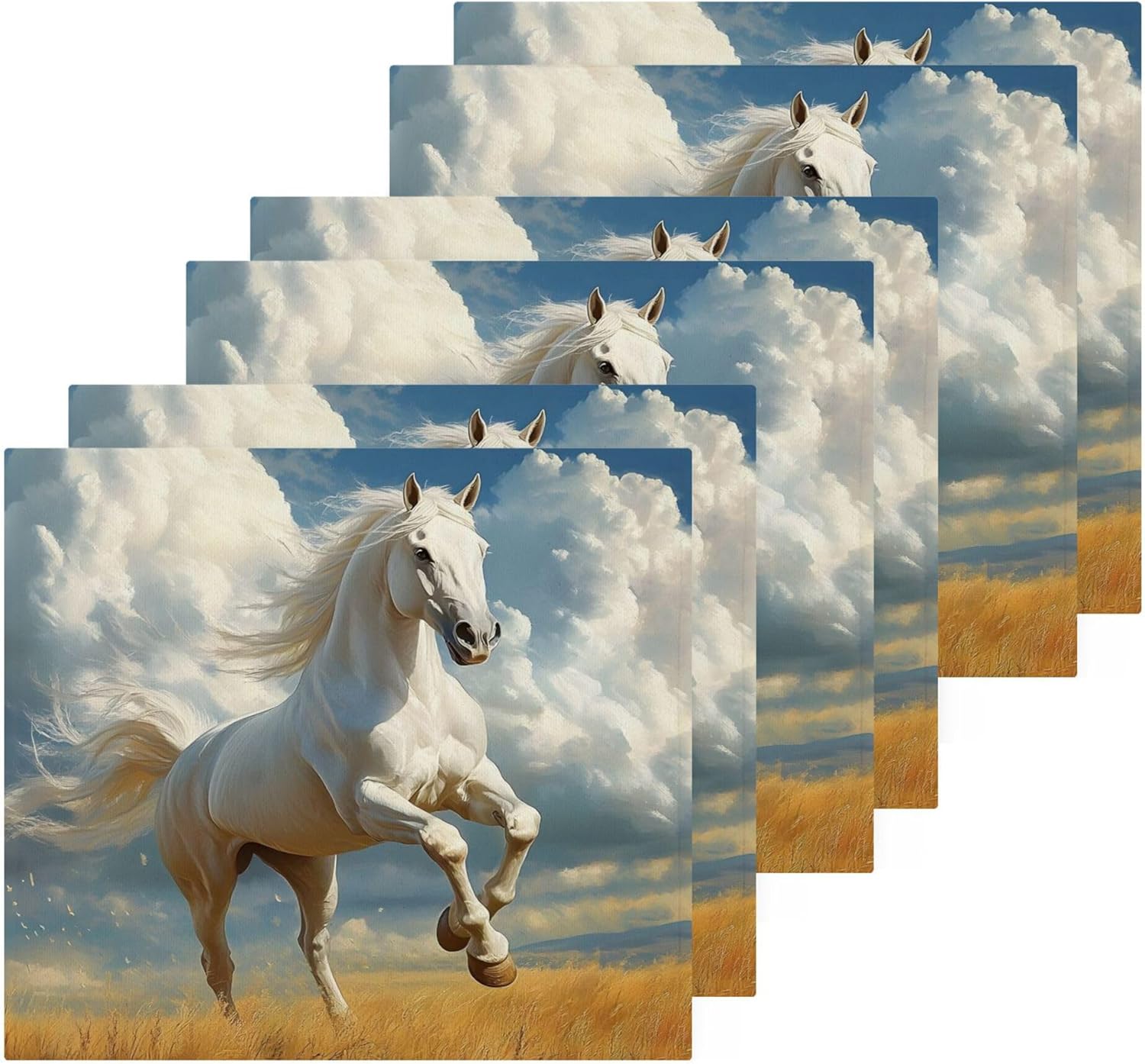Horseback Riding Fast Drying Washcloths for Bathroom Spa and Kitchen