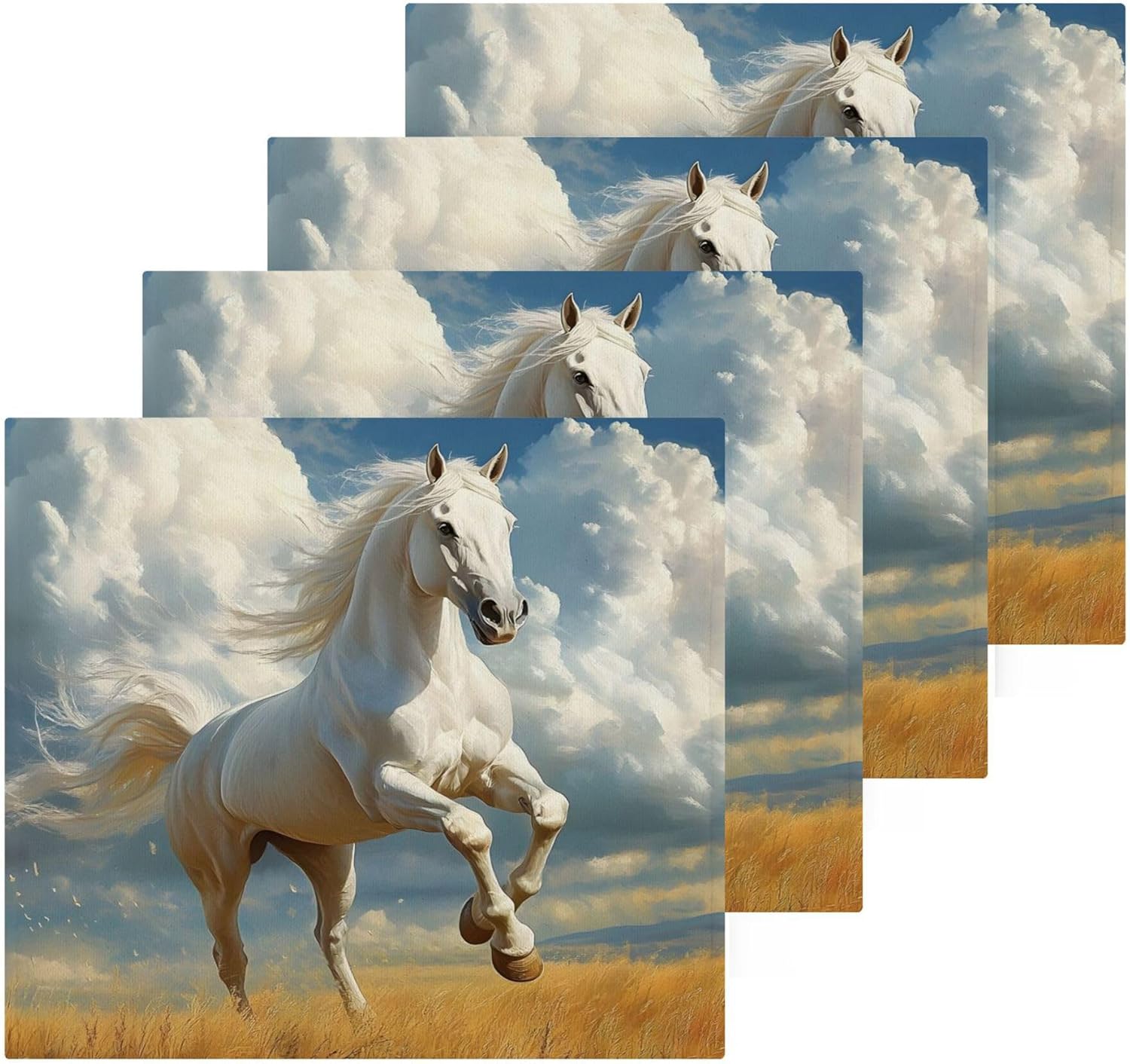 Horseback Riding Fast Drying Washcloths for Bathroom Spa and Kitchen